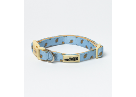 Collar para perros Ambu