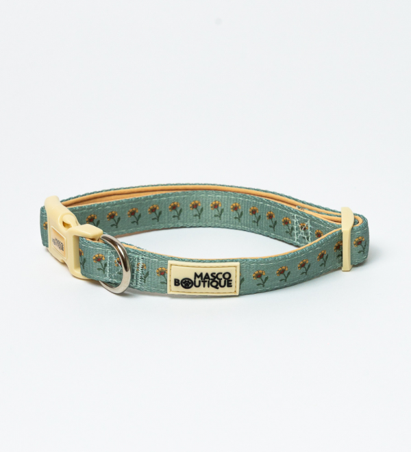 Collar Jaipur
