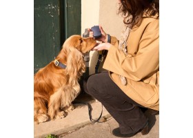 Porta-Premios Para Perro La Lune