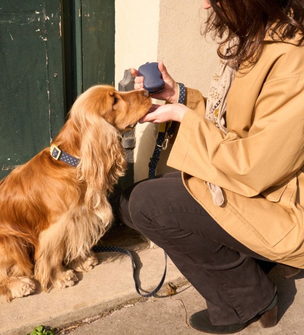 Porta-Premios Para Perro La Lune