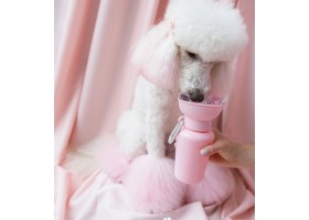 Botella Bebedero Flip Rosa Bebé