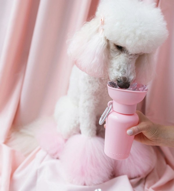 Botella Bebedero Flip Rosa Bebé