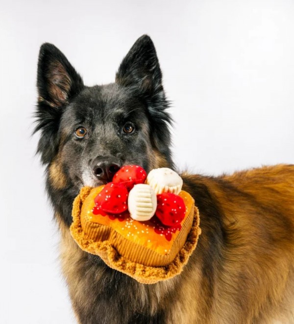 Peluche para perro French Toast