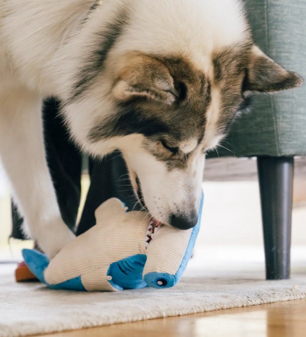 Peluche para perro Bonk el Tiburón Martillo