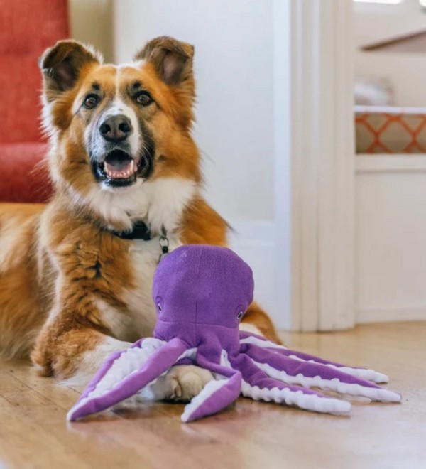 Peluche para perro Opal el Pulpo