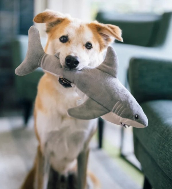 Peluche para perro Gabe el Tiburón Blanco