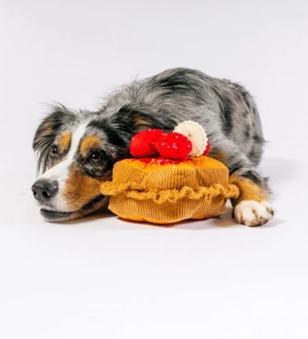 Peluche para perro French Toast