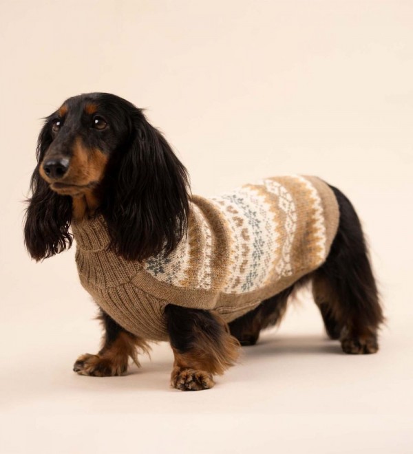 Jersey para perro Fall Medley Toasted Almond