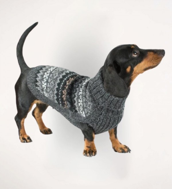 Jersey para perro Dark Fall Medley