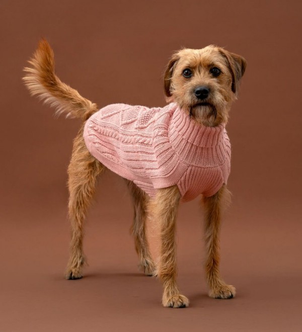 Jersey para perro Aran Rosa