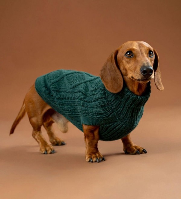 Jersey para perro Aran Esmeralda