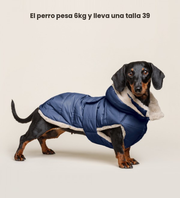 Abrigo para perro Plumas Azul Marino