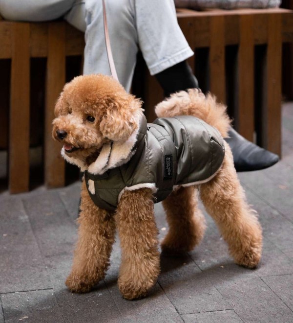 Abrigo para Perros Plumas Kaki