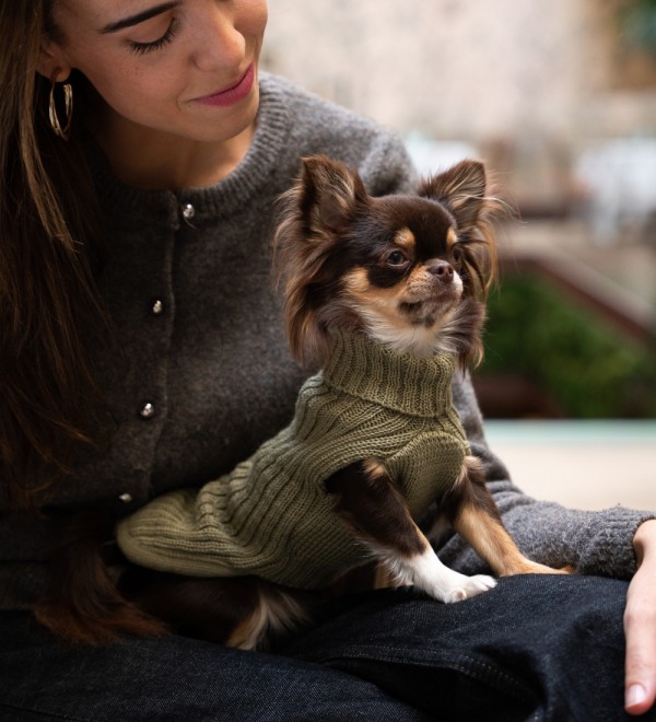 Jersey para perro Trenzado Verde Oliva