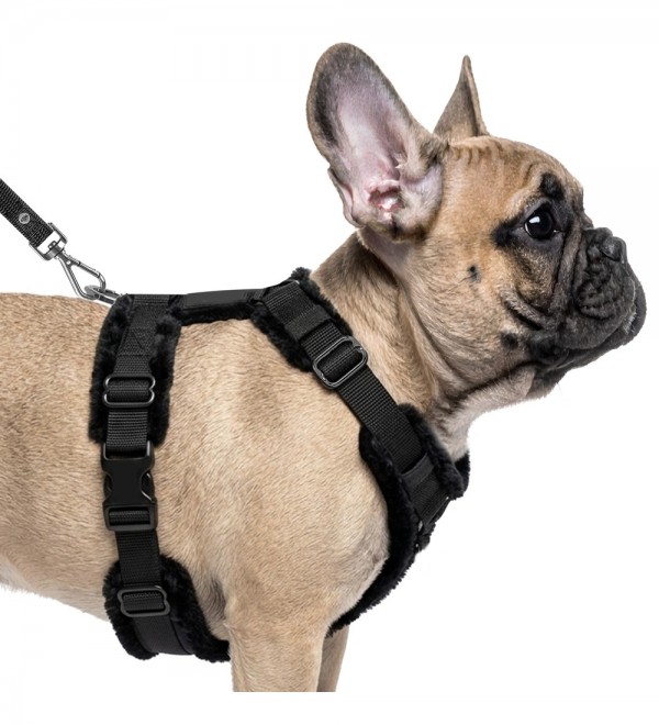 Arnés para perro en H Aslan Negro