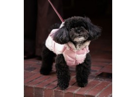 Abrigo para perro Plumas Rosa Bebé