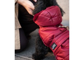 Abrigo para Perro Plumas Burdeos