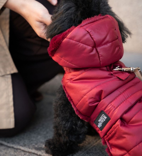 Abrigo para Perro Plumas Burdeos