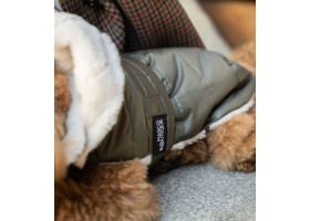Abrigo para Perros Plumas Kaki