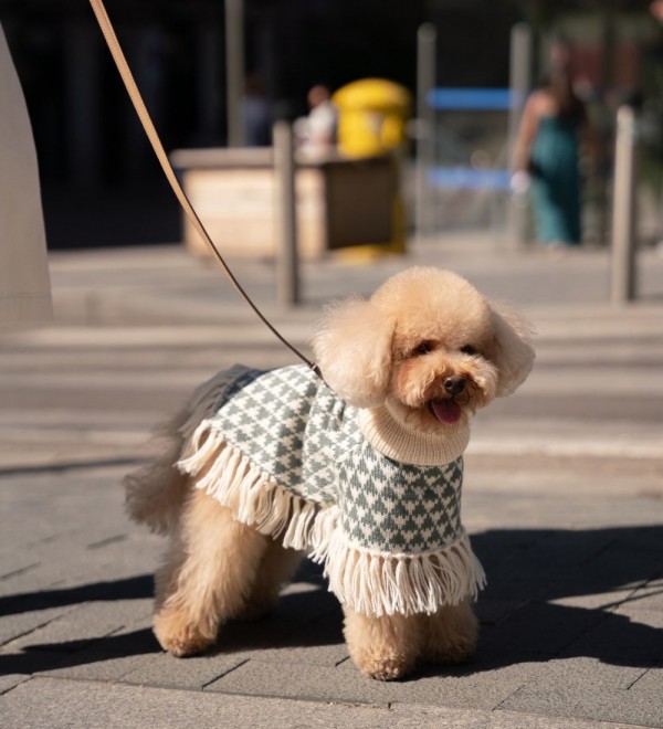 Poncho para perro Triad Sage