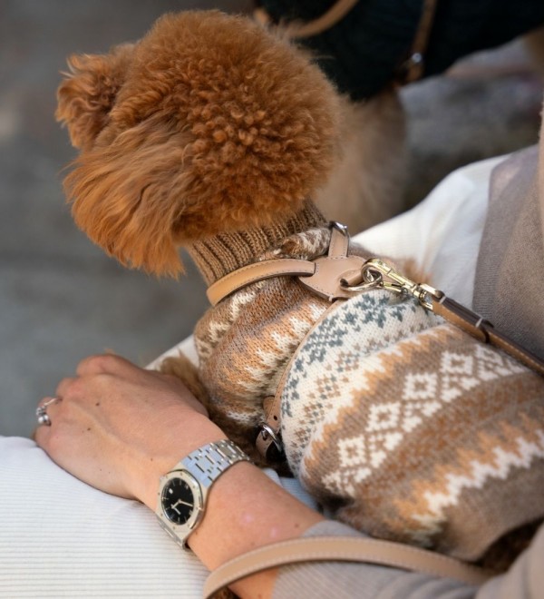 Jersey para perro Fall Medley Toasted Almond