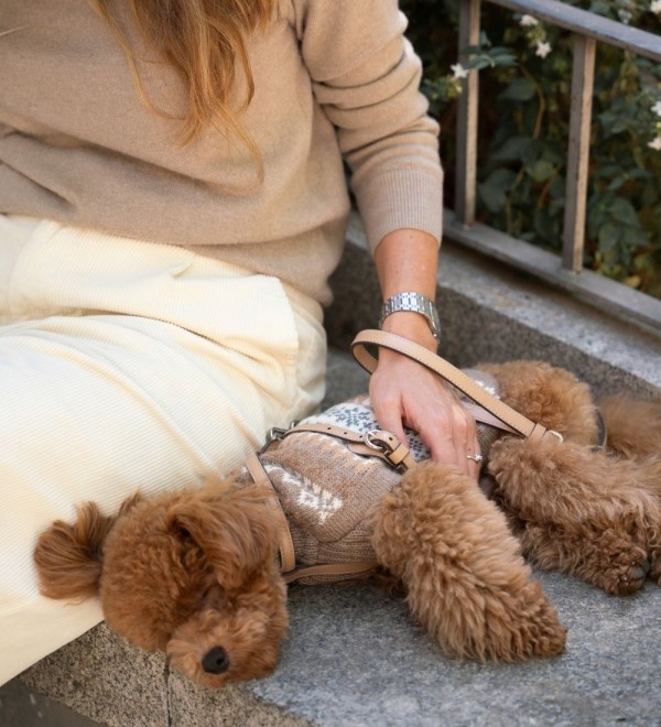 Jersey para perro Fall Medley Toasted Almond