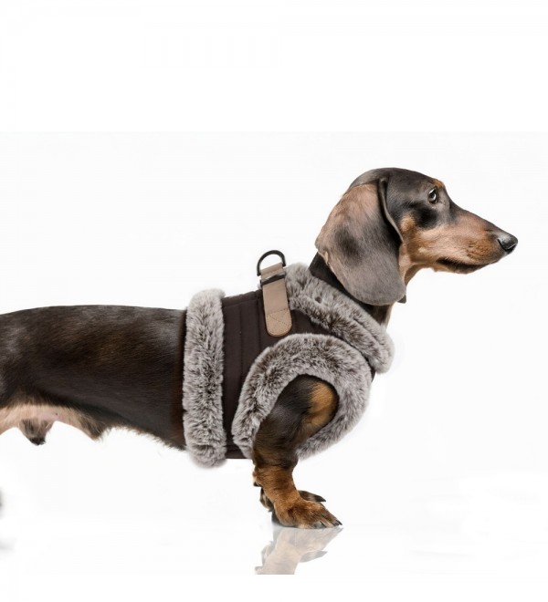 Arnés chaleco para perro Aurelius