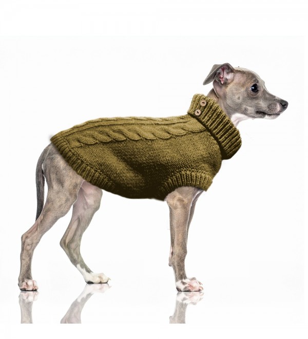 Jersey para perro Montgomery