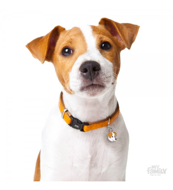 Dog Tag Friends Jack Russell White and Brown