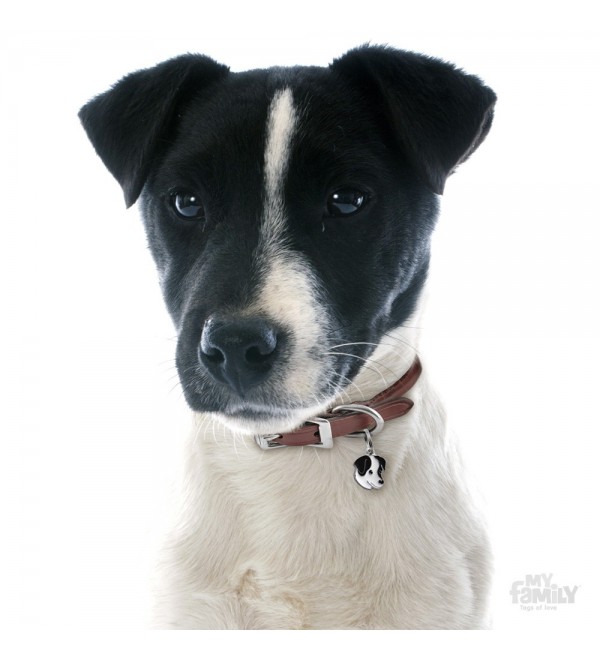 Chapa Perro Friends Jack Russell Blanco y Negro