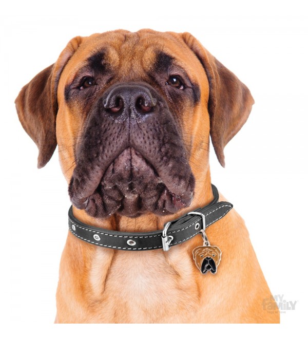 "Chapa Perro Friends Bullmastiff" translates to "Bullmastiff Dog Tag Friends" in English.