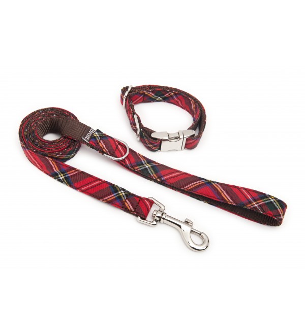 Dog Collar Textured Tremp