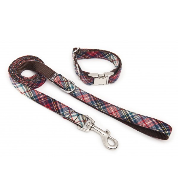 Dog Collar Texture Bot