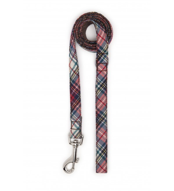 Leash Perro Textura Bot