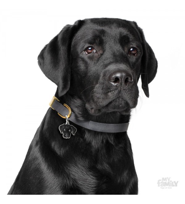 Dog Tag Friends Black Labrador