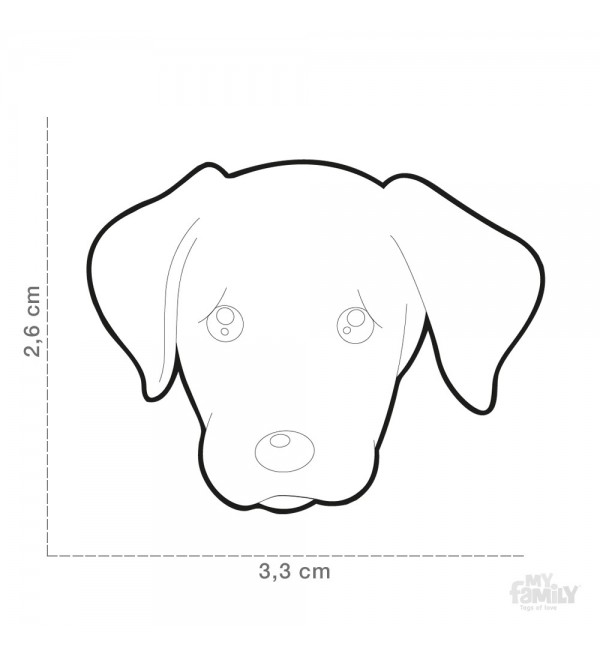 Chapa Perro Friends Labrador Negro