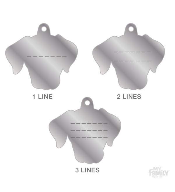 Chapa Perro Friends Labrador Negro