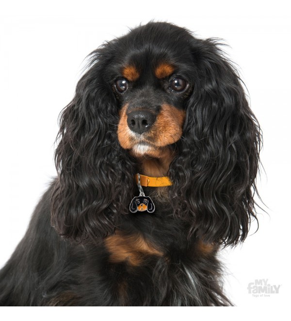 Black and Chestnut Cavalier Friends Plate
