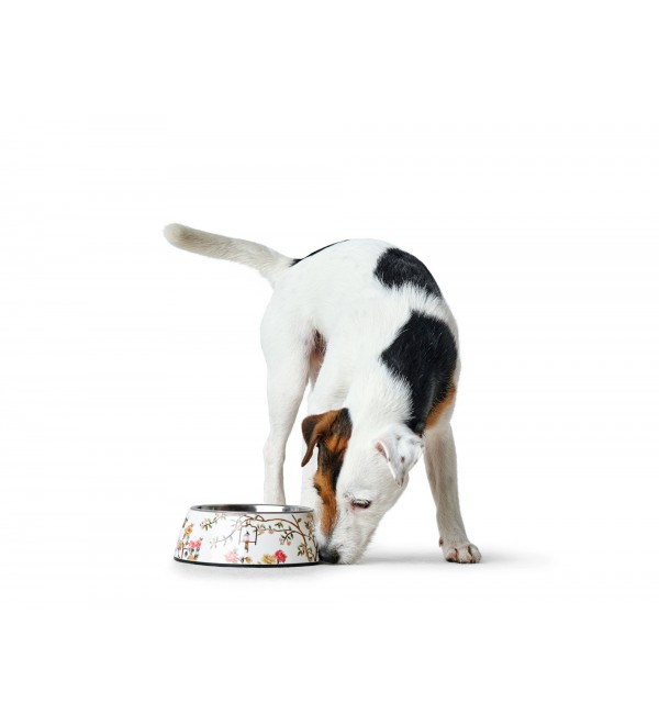 Feeder and Waterer for dogs - Melamine Mogami