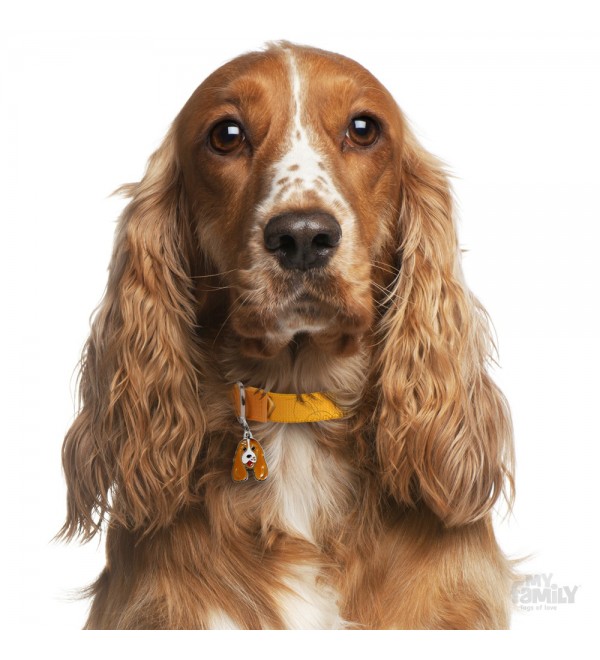 Dog Tag Friends Cocker Spaniel White and Orange