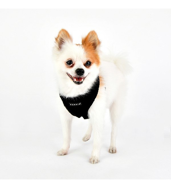 Black Terry Harness