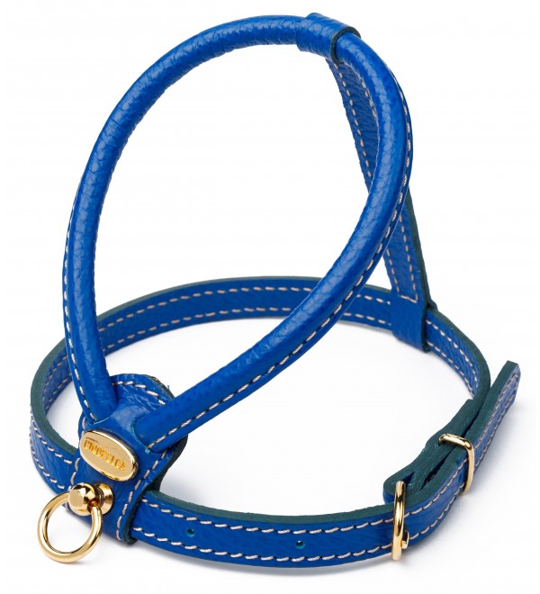 Leather Harness Blue La Cinopelca