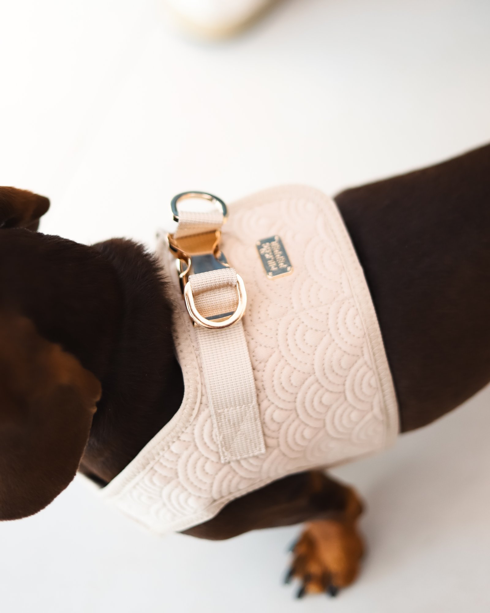 Arnés chaleco petral para perro pequeño