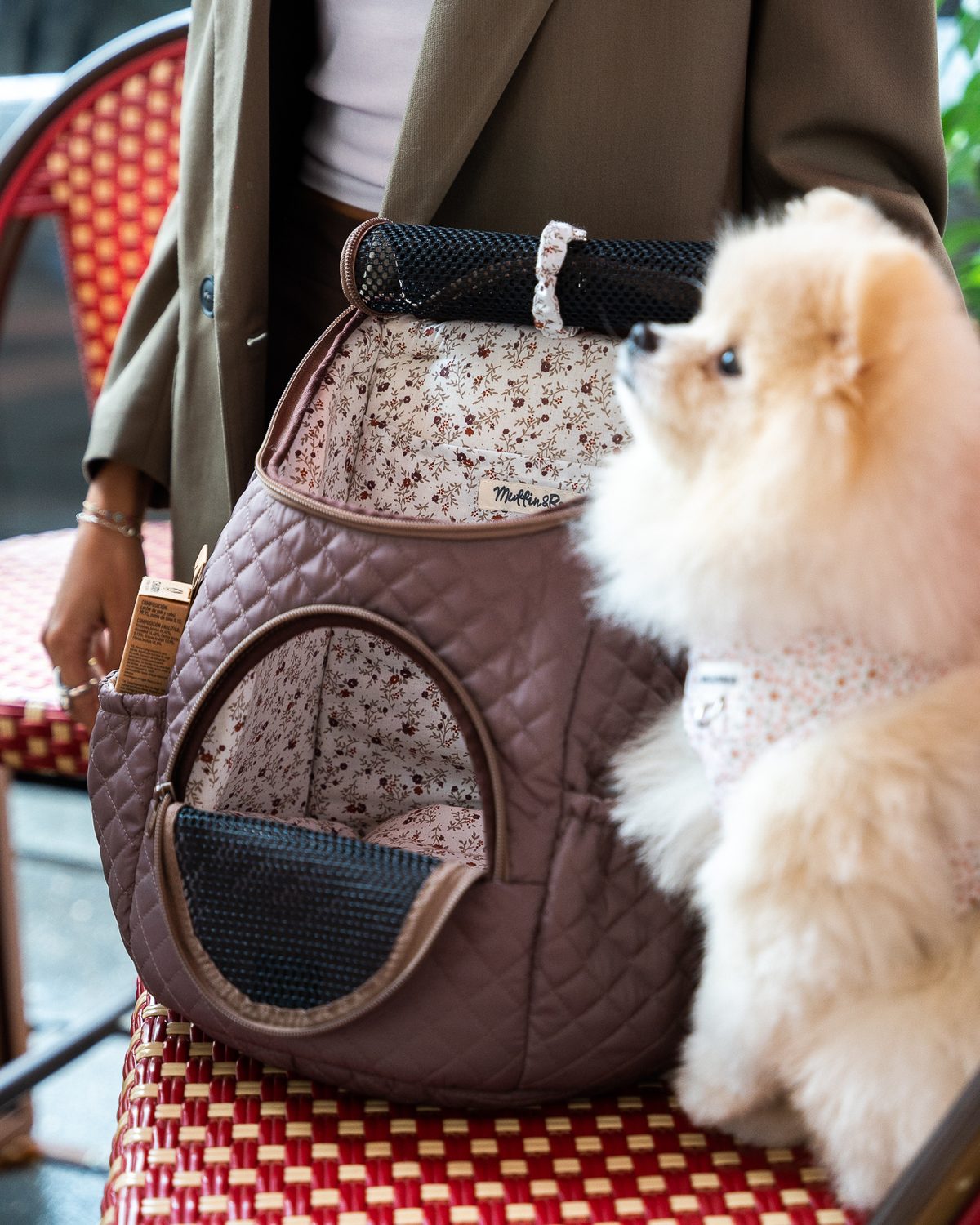 Hazel Marrón travel bag with small dog Pomeranian — Mascoboutique