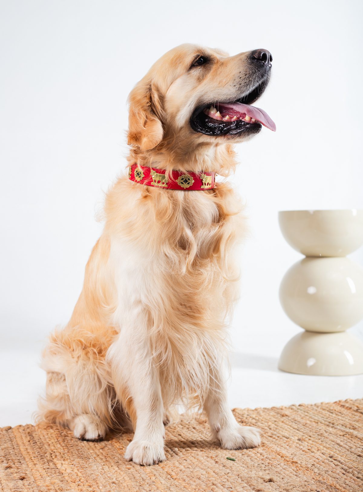collar rojo con bordado floral para perro — Mascoboutique