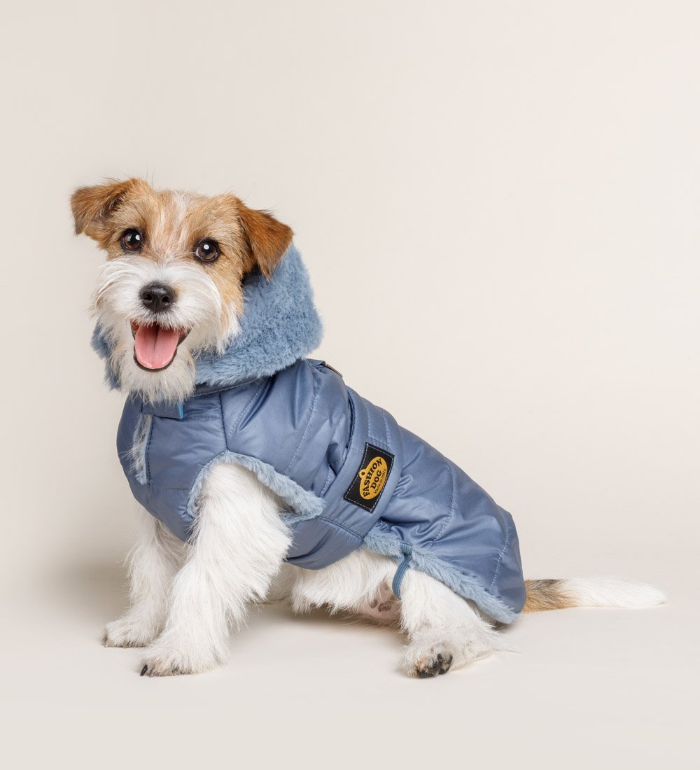 Jack russell con abrigo de plumas Fashion Dog color azul marino