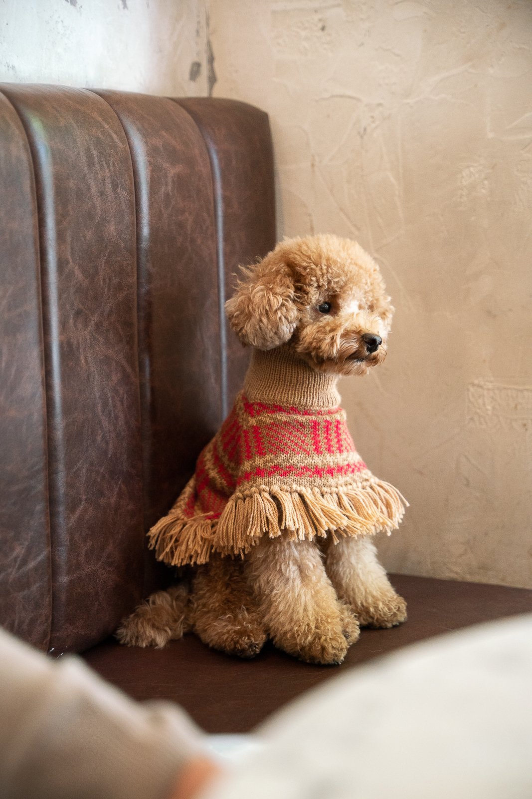 Poncho Camelberry Plaid Alqo Wasi lana de alpaca en caniche toy