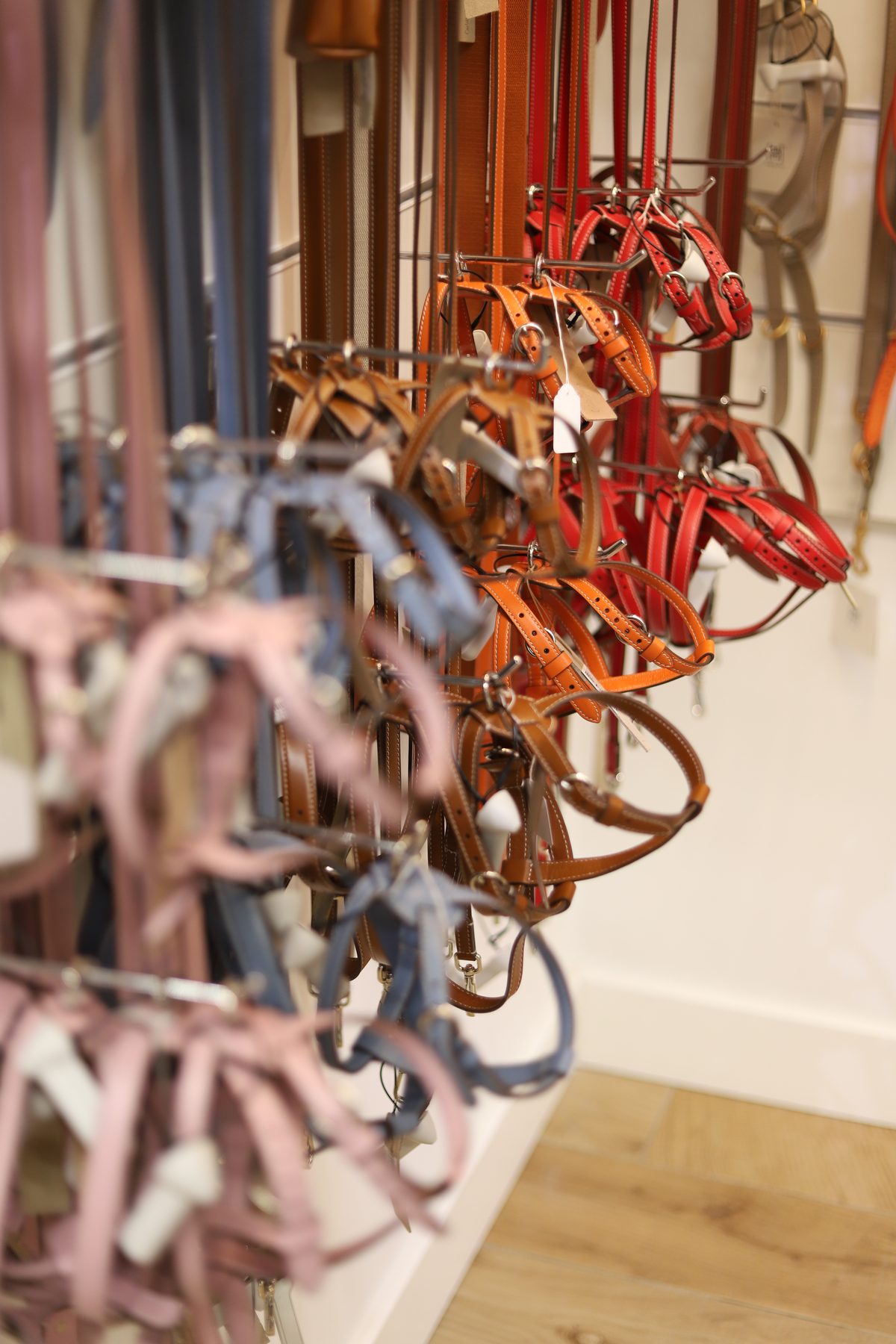 interior Mascoboutique Núñez de Balboa shop — dog clothes Madrid