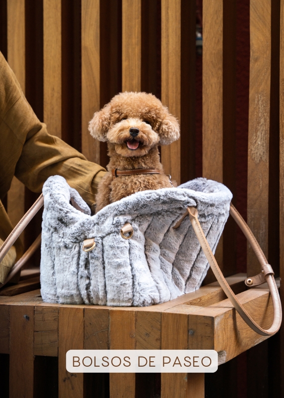 Bolsos de paseo