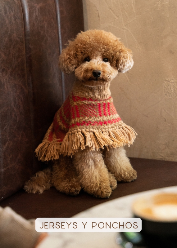 Jerseis y ponchos